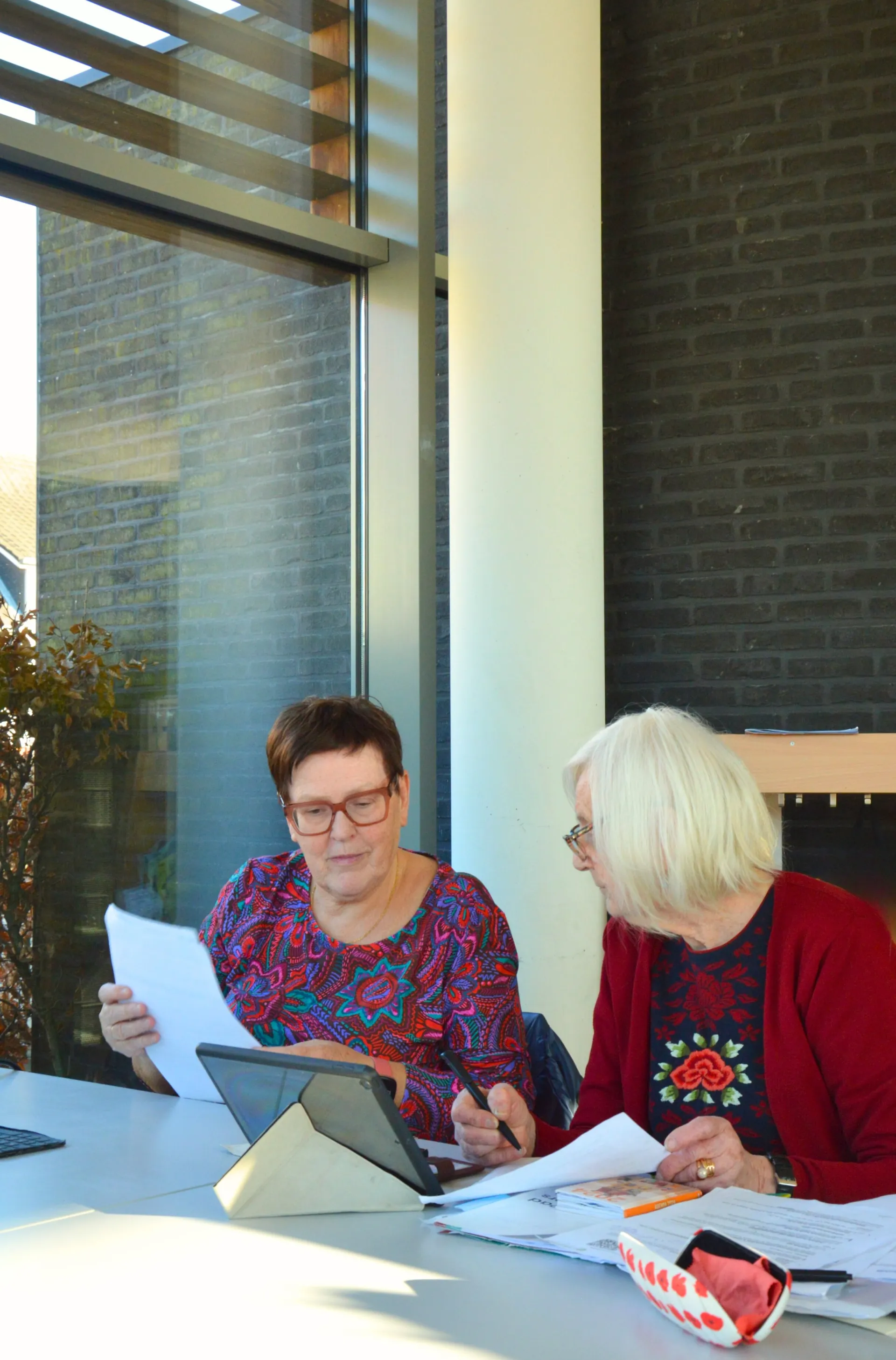 Ik zoek digitale hulp Sociaal internetaanbod 1
